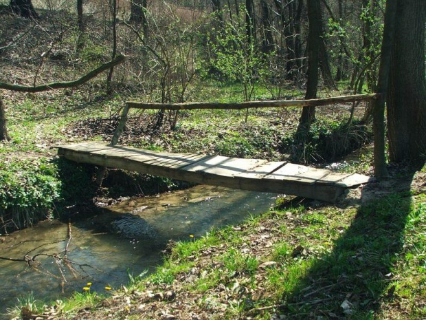 Potok Witoszyński #Witoszyn #rzeka #kładka #mostek
