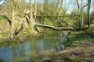 Jedziemy w stronę Celejowa #rzeka #Bystra