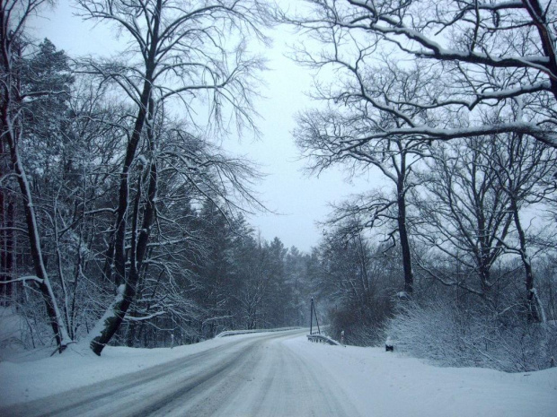 To widok drogi, podczas wyazdu do Karpacza.