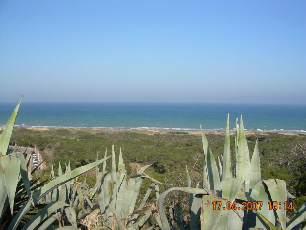 Guardamar-Costa Blanca