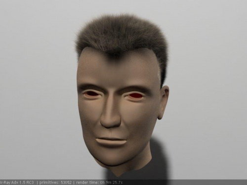 Testowy render włosów. 3DS Max 9 + Hair&Fur + V-Ray 1.5 RC3