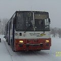 Radom Os. Prędocinek. Kierowca MKM Marcin B. ze swoim Ikaruskiem 785 czekają aż zrobie foto i odjedziemy na Gołębiów,