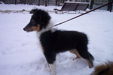 #Piksel_Lexus_090207