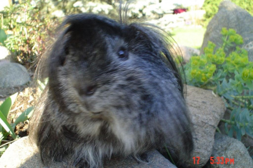 sesja wiosenna