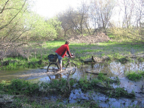 Wycieczka rowerowa przez kampinos grupy hc