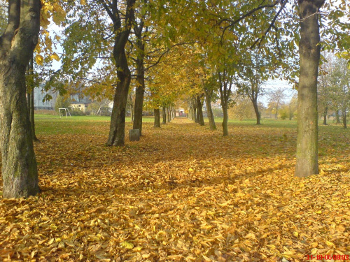 jesienna ścieżka w parku (niestety tez tylko telefonem)