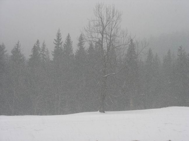 Zakopane - Kasprowy Wierch