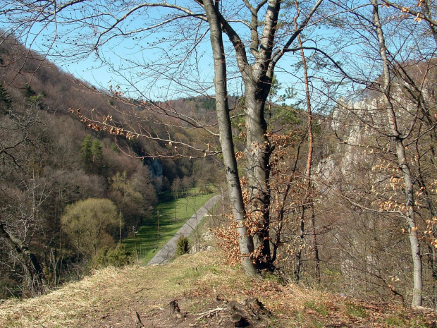 Widok na dolinę Sąspowską