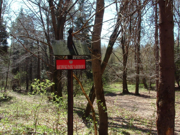 Rezerwat na Złotej Górze