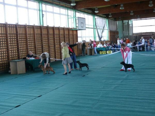 Grudziądz 2007