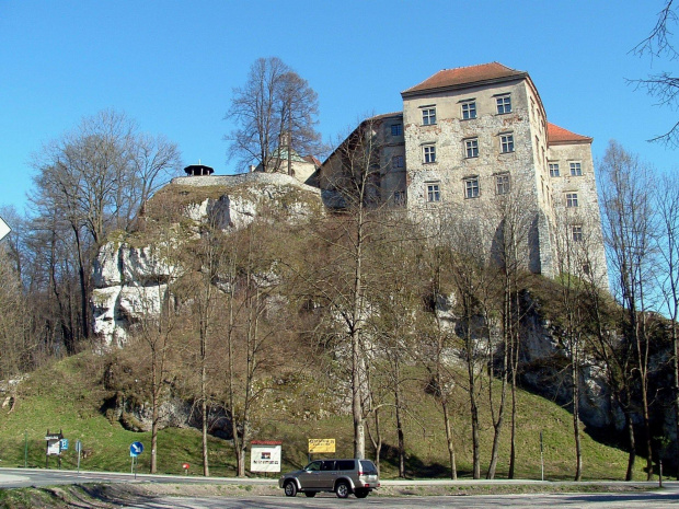 Widok zamku od zachodu