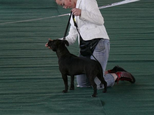 Grudziądz 2007