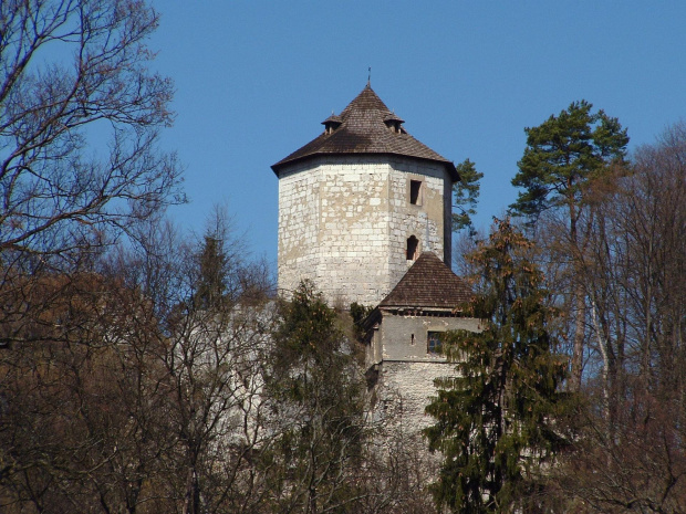 wieża zamku Ojcowskiego z innego miejsca