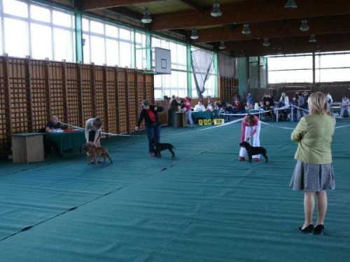 Grudziądz 2007