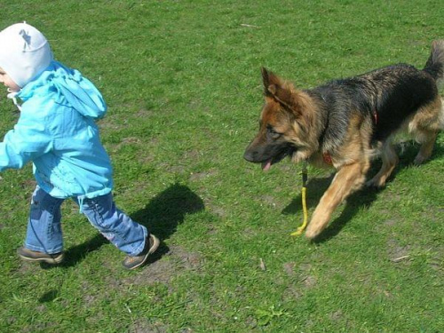 na szkoleniu i nie tylko #psy