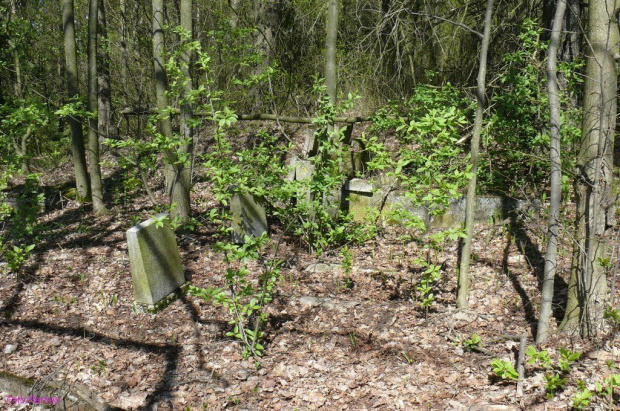Cmentarz w Orłowie #CmentarzWOrłowie #Orłowo #Siegmunden #Mazury #Remes #Rower