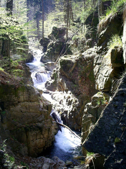 Rezerwat "Wodospad Wilczki"