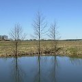 hej mazury jak wy cudne gdzie --moje rodzinne strony::))