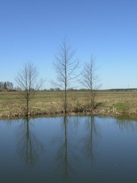 hej mazury jak wy cudne gdzie --moje rodzinne strony::))