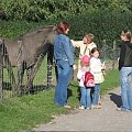 Zwiedzamy Saarland