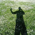 mój cień rzucony na kwietniową łąkę kwiecistą ...:o))