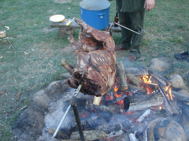 Strasznie mnie zdziwił ten sposób na dzika