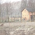 stadnina koni w planach, jeden już jest ale się schował