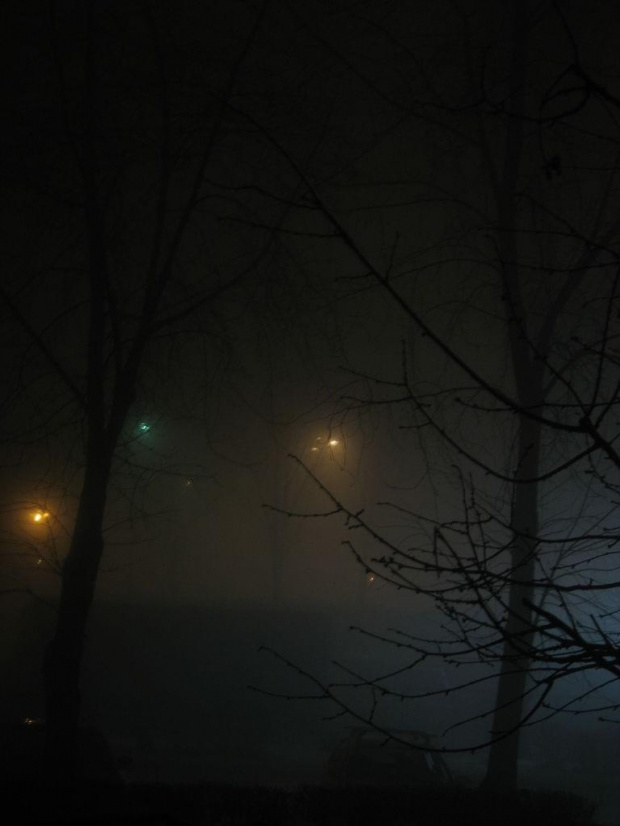 #mgła #noc #GraŚwiateł #mrok