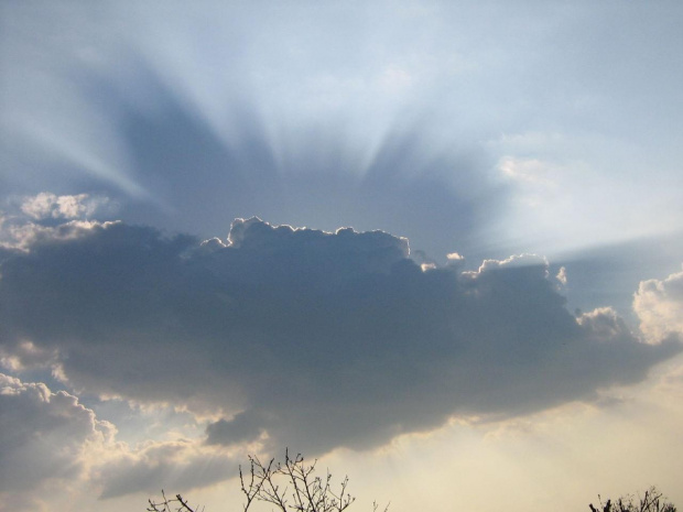 a może poprostu wdzięczny obiekt do fotografowania