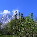 Corno Grande w całej wiosennej krasie