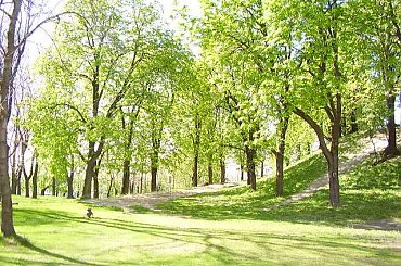 Park na górce #ChełmPark