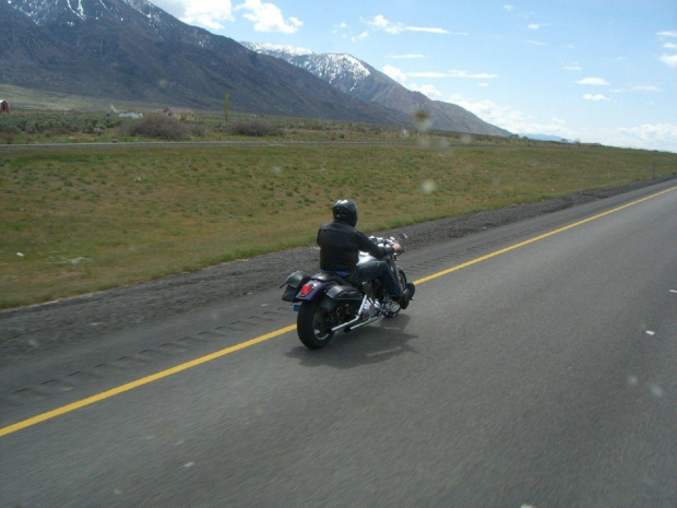 Easy rider