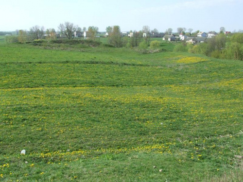 Wizna wiosna 2007