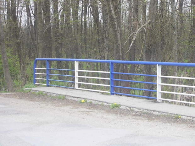 Park Krajobrazowy nad jeziorem Łuknajno 23 kwietnia