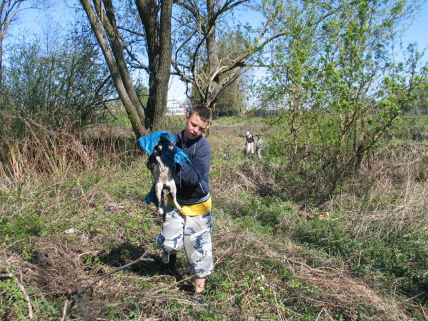 29.04.2007r. podczas treningu biegowego nasi wytropili grupe oprawców kotów. załatwili tez psa, ale zwłoki albo dobrze ukryli albo zjedli