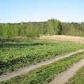 Koluszki, Lisowice, Mroga, las, przyroda, zbiornik #Koluszki #Lisowice #Mroga #las #przyroda #zbiornik