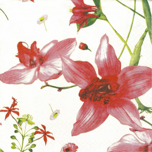 45) Orchidee na maślanym tle