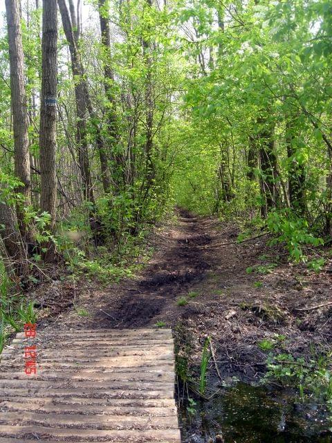 Mostek na bagienkach; Karpaty - Leszno (szlak niebieski)