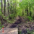 Mostek na bagienkach; Karpaty - Leszno (szlak niebieski)