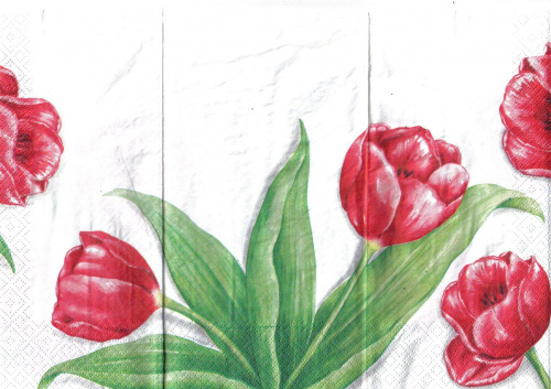 tulipany #kwiaty