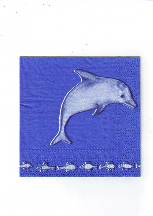 delfin #morze