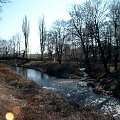 Jawor_Park Miejski i nasza rzeka Nysa Szalona #jawor #miasto #widok #zabytki #DolnyŚląsk