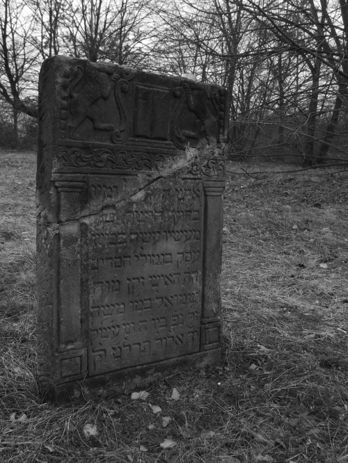 Ponownie grób na cmentarzu żydowskim.