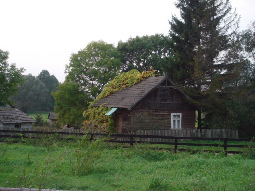 Głęboczek-Podlasie