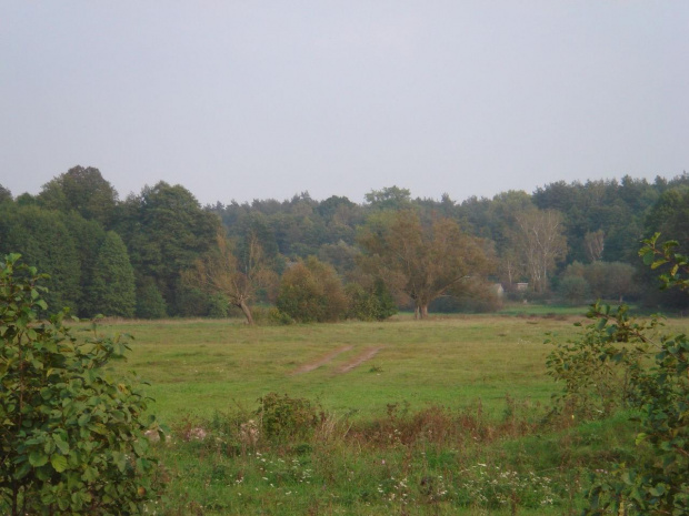 Głęboczek-Podlasie