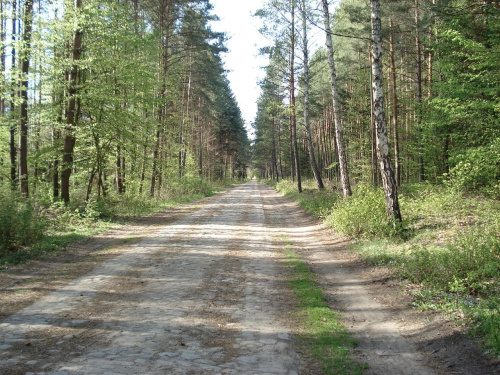 Bo na końcu każdej drogi jest ...::::KTOŚ:::...