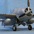 Grumman F4F Wildcat - MM 10-11/2002