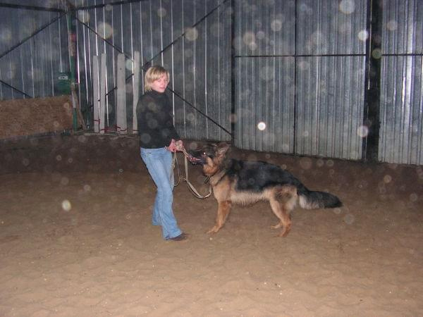 trening 11.02.07 #agility