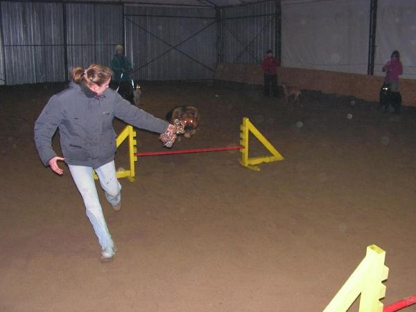 trening 11.02.07 #agility