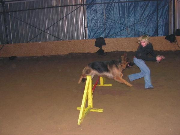 trening 11.02.07 #agility